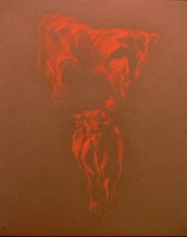 Red Bull   red conte 