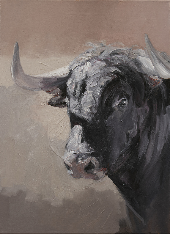 Toro Espanol Negro 1